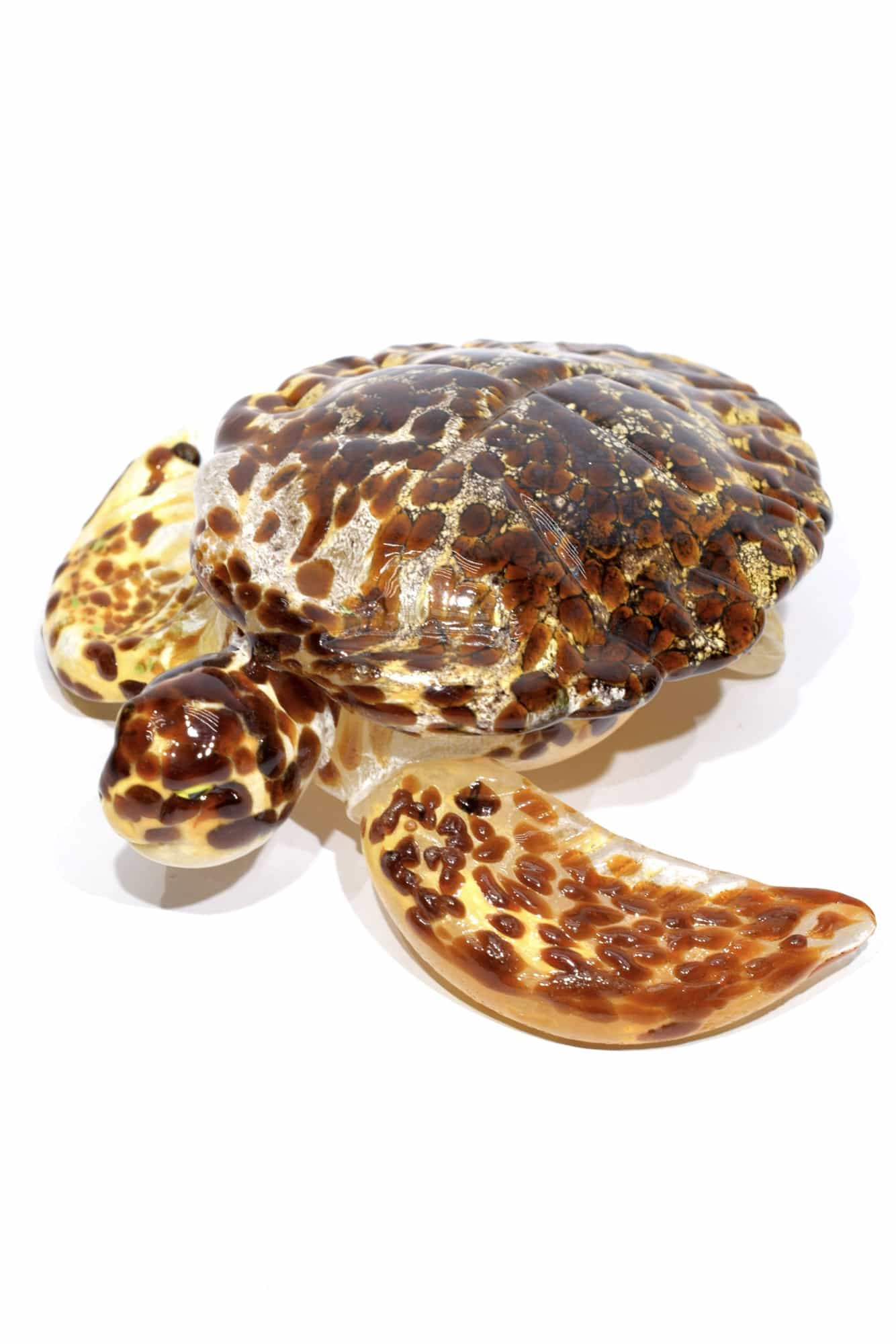 Murano glass turtle