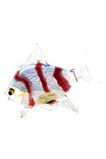 murano glass fish animal